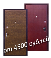 металлическая дверь за 4500 руб.