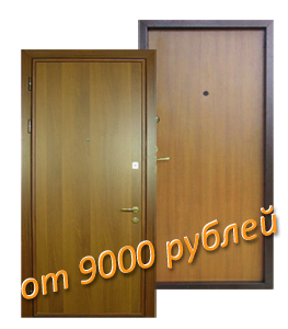 металлическая дверь 9000 рублей